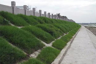 綿竹加強河道水環(huán)境治理，推進生態(tài)環(huán)境檢測服務(wù)
