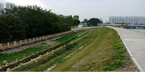 治水攻堅戰(zhàn)｜新華街水環(huán)境治理進行時，12月13日戰(zhàn)報及環(huán)境檢測服務動態(tài)