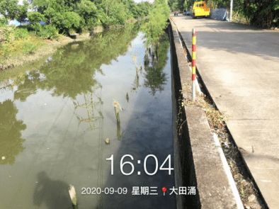 守護碧水清波 石岐河涌環境治理打響“四大戰役”，環境檢測服務保駕護航