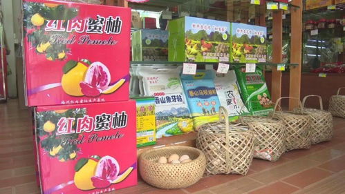 農村電商網紅助力農產品熱銷，促進農民增收致富